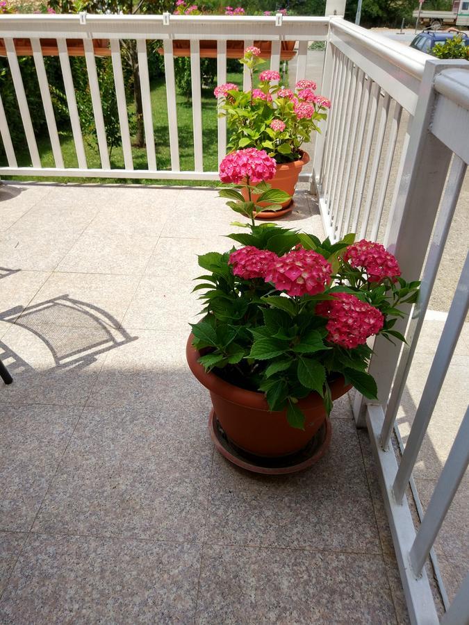 Guest House Regina Mundi Međugorje Екстериор снимка